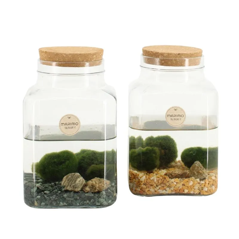 Marimo D.13 H.20 cm