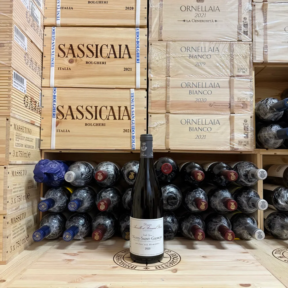 Nuits-Saint-Georges Vielles Vignes 1er Cru Les Damodes 2020 Domaine Armelle Et Bernard Rion