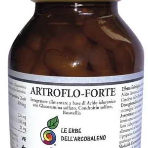 ARTROFLO FORTE 60CPS