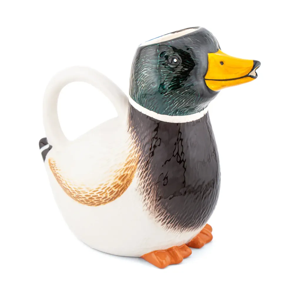Brocca Ceramica Forma di Anatra
