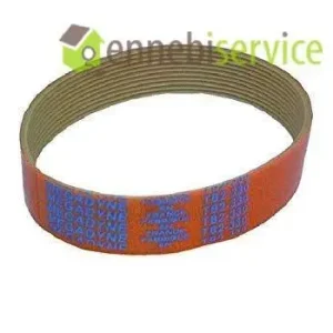 Cinghia sviluppo tb2 330 mm 10 gole h22 affettatrice Rgv