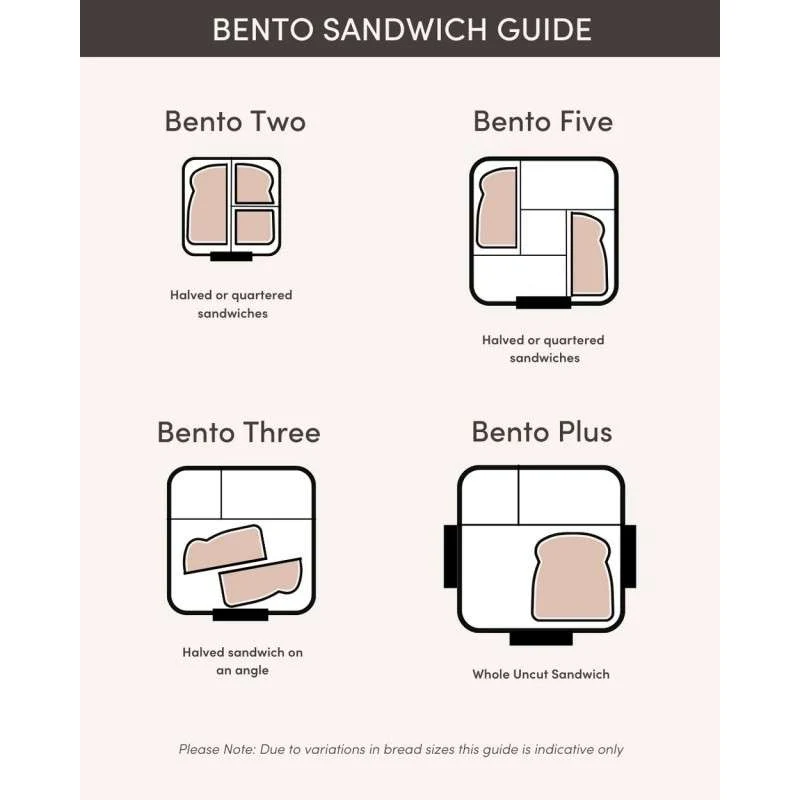 MontiiCo Bento 3 Contenitore per il pranzo - Terra dei Dinosauri