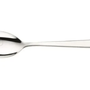 PINTI INOX - CONFEZIONE 12 PEZZI - CUCCHIAIO "GAMMA" DA DESSERT/FRUTTA 17,8CM - ACCIAIO INOSSIDABILE