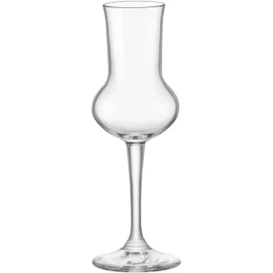 Riserva calice grappa 6 pezzi 76270