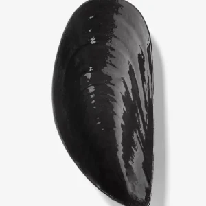 Ciotola di cozze Marcel L Serax