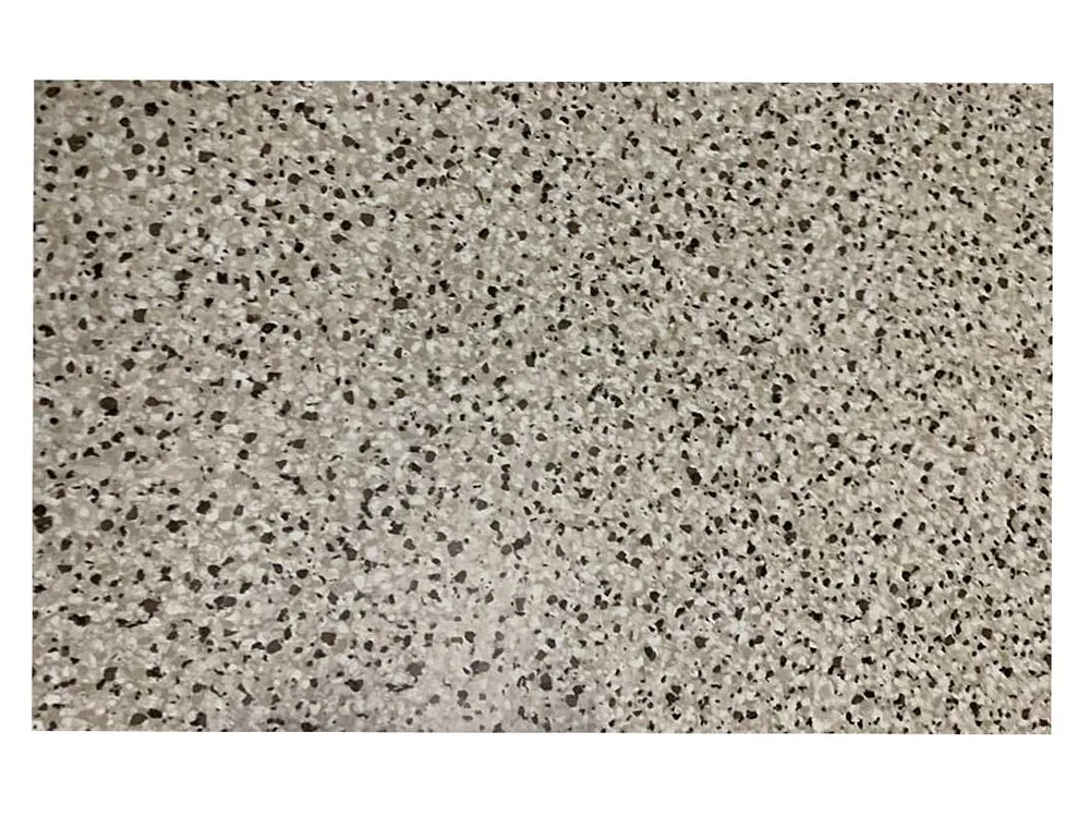 Set americano marmo tovcol01-07