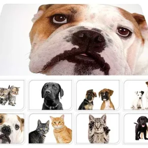 Tovaglietta37x56cm cani/gatti cy2700880