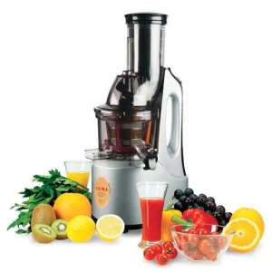 ET 2102 ESTRATTORE VEMA / JUICE EXTRACTOR (copia)