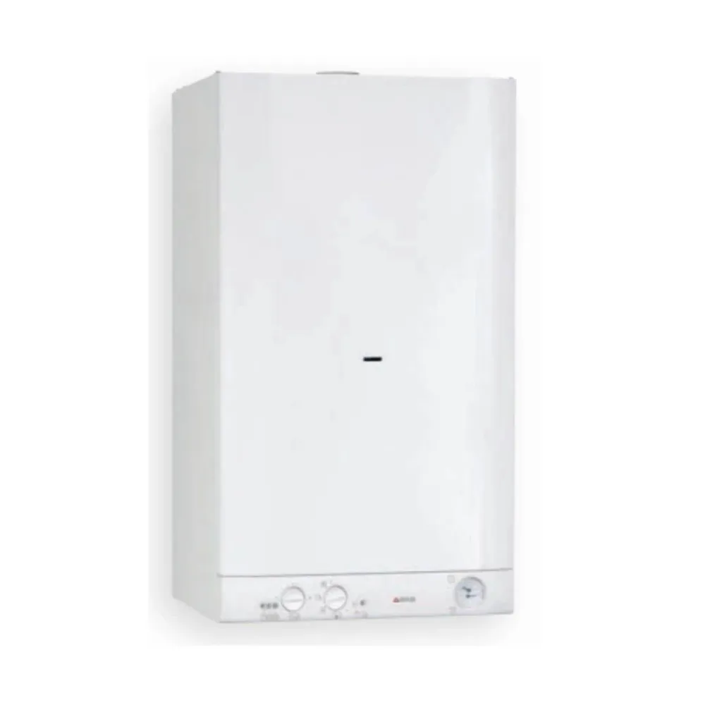 Caldaia Camera Aperta BIASI BASICA E 28A Gpl