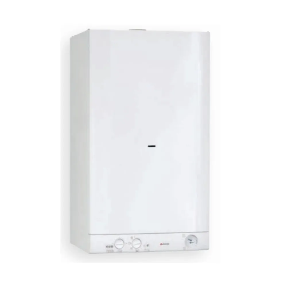 Caldaia Camera Aperta BIASI BASICA E 28A Gpl