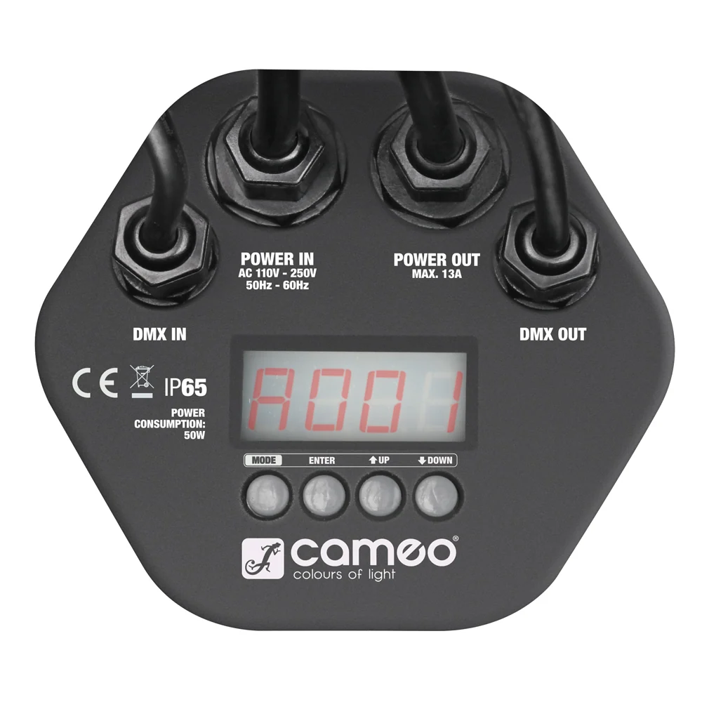 Cameo Outdoor PAR Lampada RGB IP65 (12x3W)