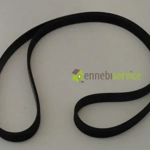 Cinghia 1975 h7 poly-v Electrolux