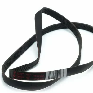 Cinghia Ariston Elastica Lavatrice C00066521