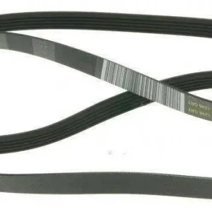 Cinghie BOSCH Lavatrice 11003842