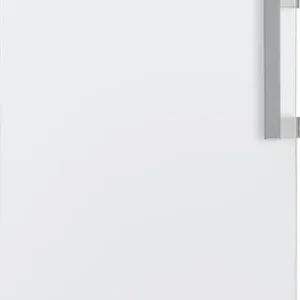 Congelatore Verticale Beko B5RMFNE314W 286 Litri Classe E No Frost (A186,5xL59,7xP75,4) Bianco