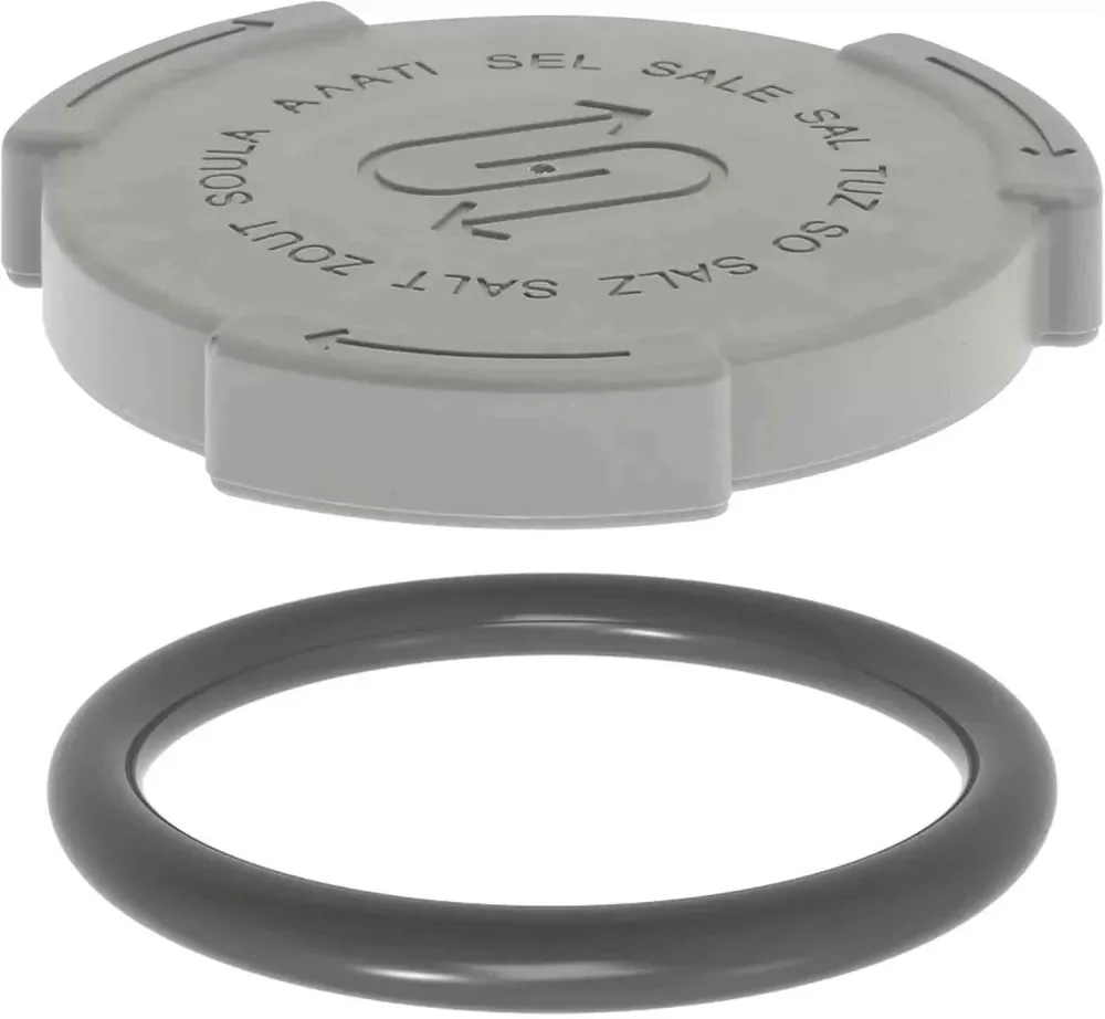 Coperchio tappo sale originale lavastoviglie Bosch Siemens 00611319