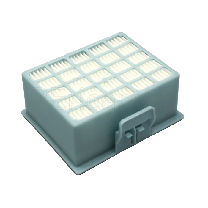 Filtro Hepa Lavabile Compatibile con BGL25, BGL35, BGL3, BGL4, BGLS4, SGS55