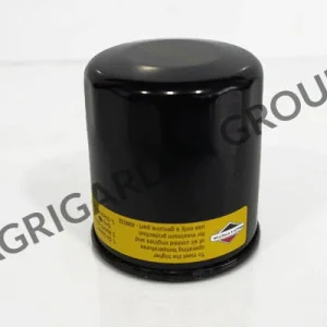 Filtro olio Briggs&Stratton modello 12 692513, 499532