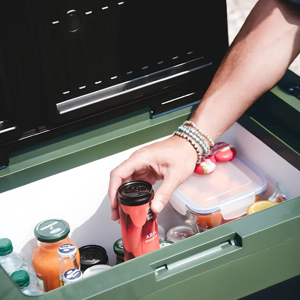 Frigorifero Portatile Compressore Travel Box ITB 32 (32 Litri)