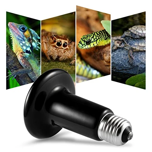 LEDGLE E27 100W trasmettitore riscaldatore Animali lampadina