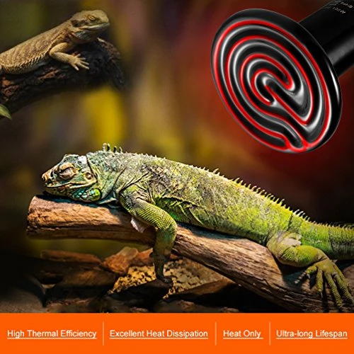 LEDGLE E27 100W trasmettitore riscaldatore Animali lampadina