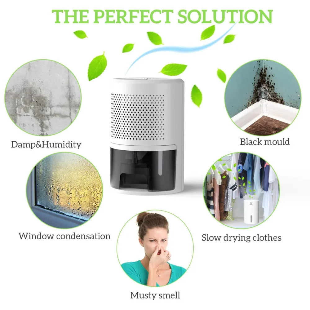 PAIPU Aidodo Deumidificatore per case 900ml, Muffa e Umidità, ideale White-1