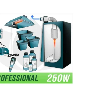 Professional 250W