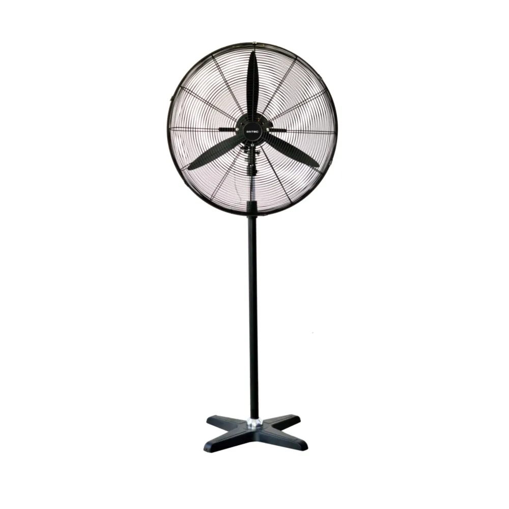 Ventilatore Industriale da Parete BDFP 750-TW