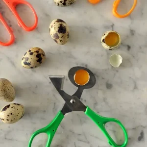 Taglierina per gusci d'uovo di quaglia