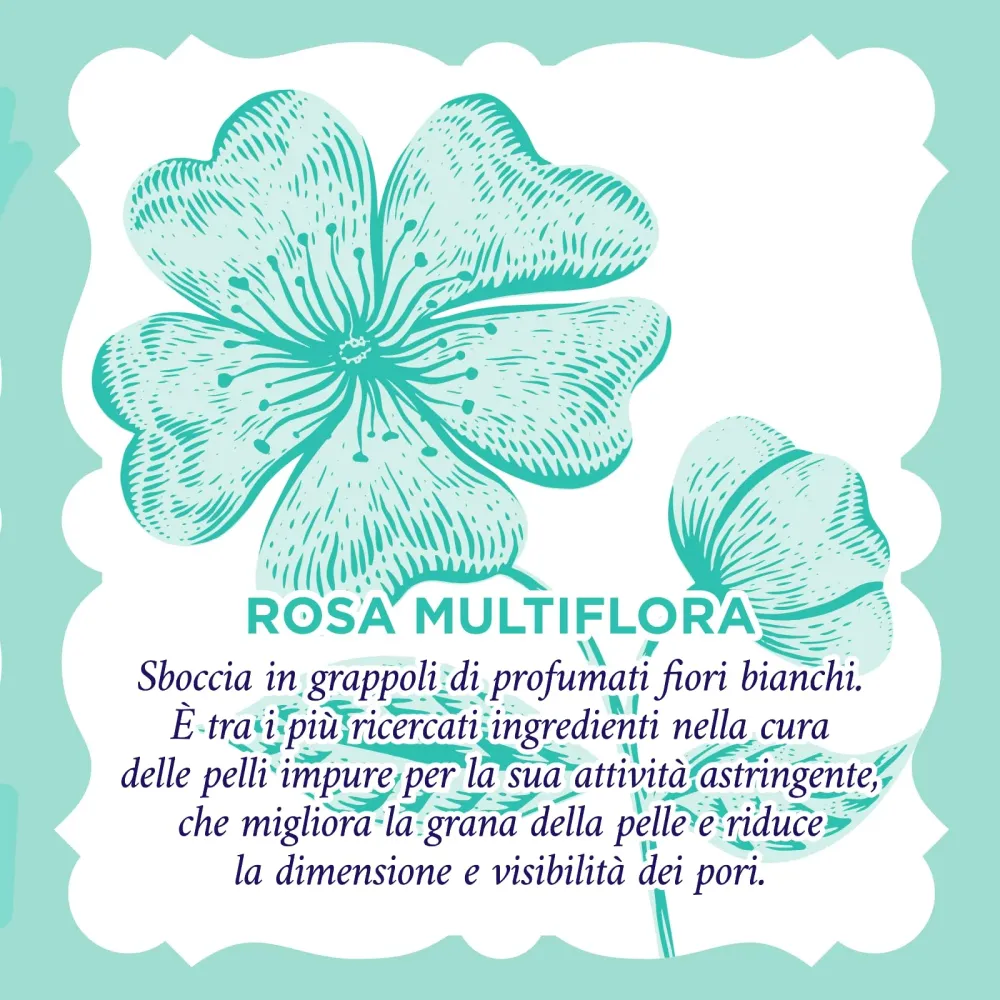 Acqua alle Rose, Gel Esfoliante Quotidiano Purificante per Pelli Normali, Miste o Grasse, Scrub Viso Delicato con Attivi A...