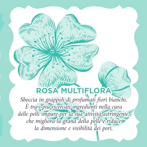 Acqua alle Rose, Linea Viso Purificante per Pelli con Imperfezioni, con Attivi Astringenti di Rosa Multiflora per Opacizzare