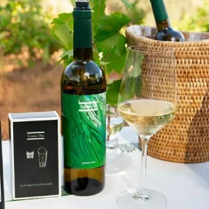 Tappo Sottovuoto e Decanter CO