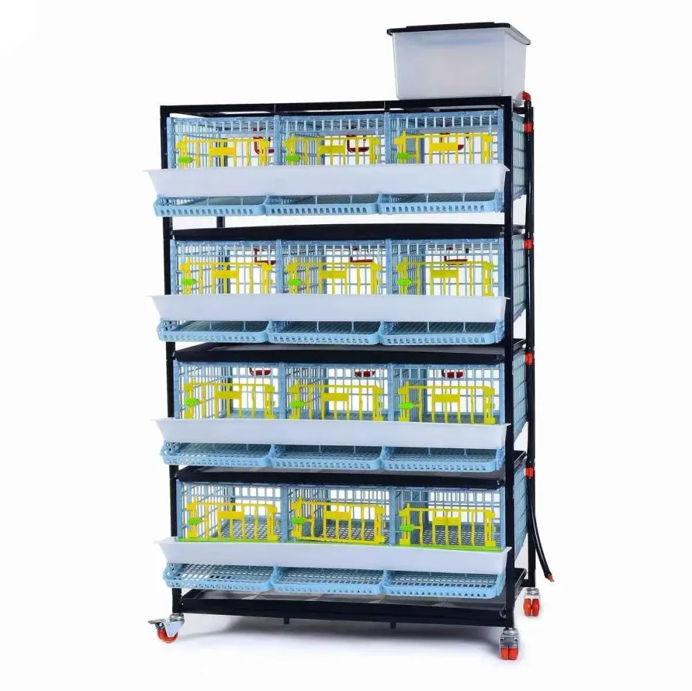 Scatola per allevamento quaglie con 3 scomparti e 4 piani - BYK-03-4K