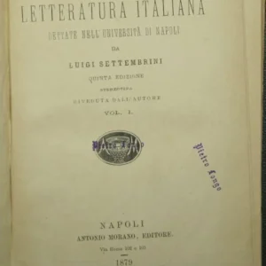 Lezioni di letteratura italiana